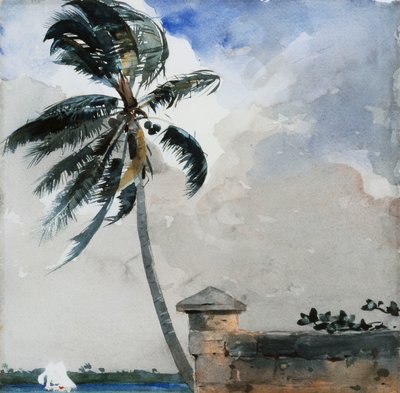 熱帯のそよ風、ナッソー、1889-90 作： Winslow Homer