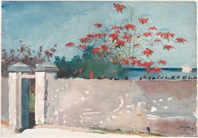 壁、ナッソー 作： Winslow Homer