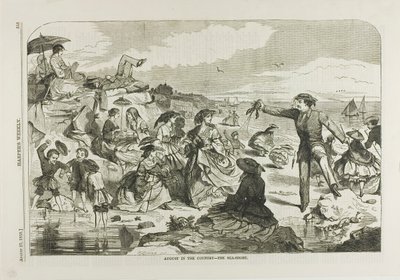 田舎の8月-海辺 作： Winslow Homer