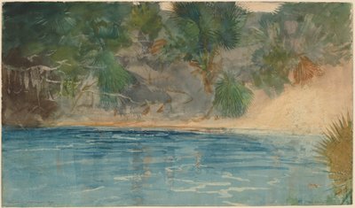フロリダ州ブルースプリング 作： Winslow Homer