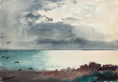 メイン州沿岸の嵐 作： Winslow Homer