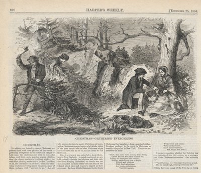 ハーパーのクリスマス収集常緑樹 作： Winslow Homer