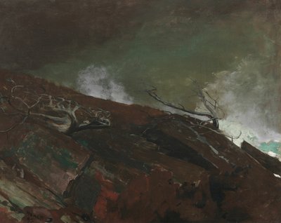 メインの海岸 作： Winslow Homer