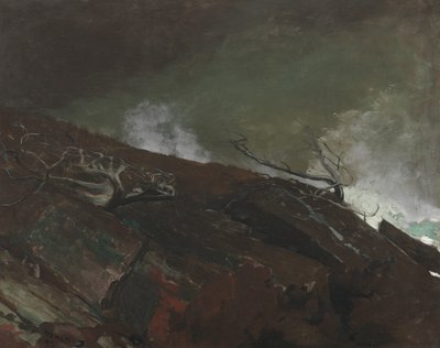 メイン州の海岸、1893 作： Winslow Homer