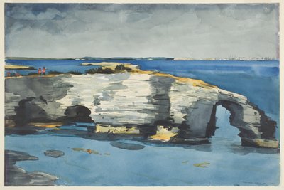 サンゴの形成 作： Winslow Homer