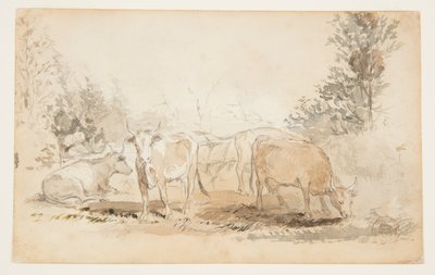 牧草地の牛 作： Winslow Homer
