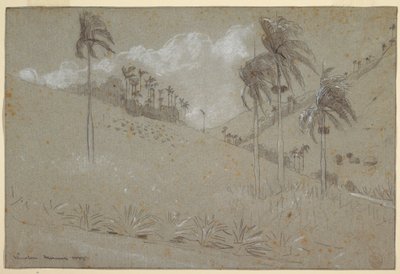 ドローイング、キューバの丘陵地帯、1885年 作： Winslow Homer
