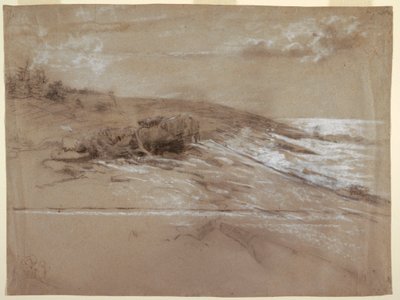 デッサン、スクラブ・パインのある海岸、プラウト・ネック、イースタン・ポイント、1884-90年 作： ウィンスロー・ホーマー