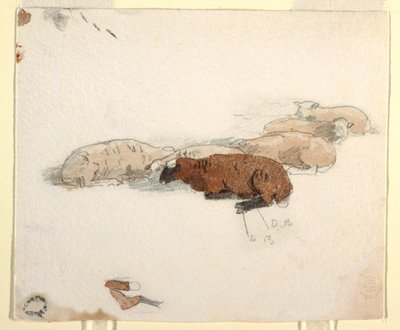ドローイング、休む羊、1878年 作： Winslow Homer