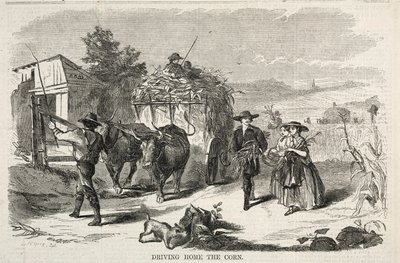 トウモロコシを家に持ち帰る 作： Winslow Homer