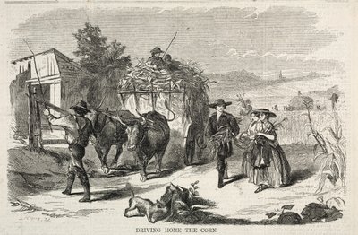 家庭でのトウモロコシの運転、1858年。 作： Winslow Homer