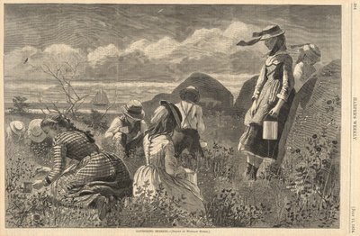 ハーパーのベリーを集める 作： Winslow Homer
