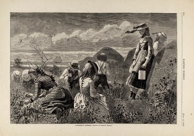 ベリー摘み（1874年7月11日号『Harper