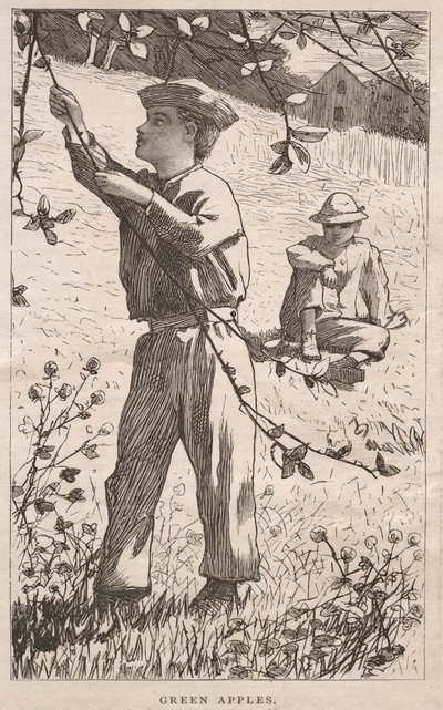 青りんご 作： Winslow Homer