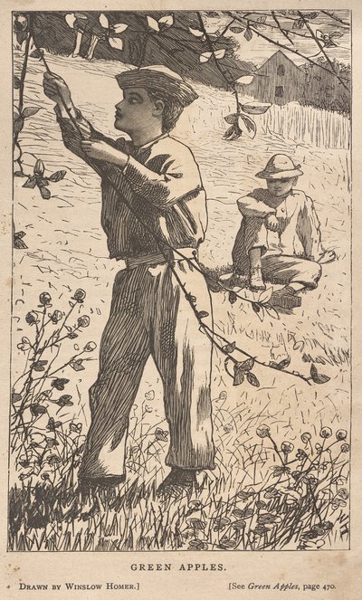 青りんご 作： Winslow Homer