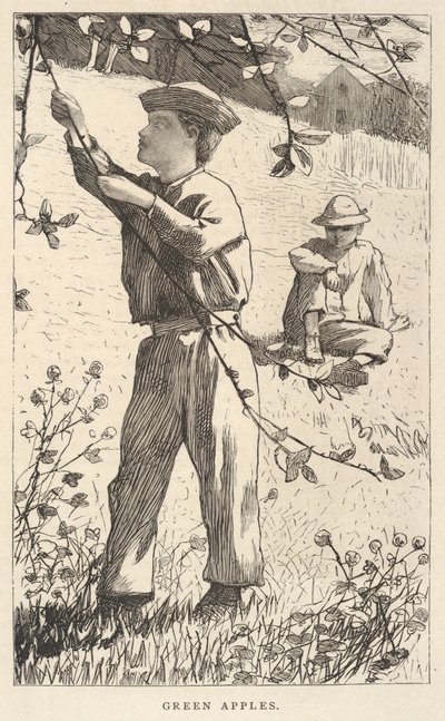 青リンゴ（1868年8月、『Our Young Folks』より 作： Winslow Homer