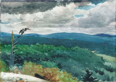丘陵の風景、1894 作： Winslow Homer