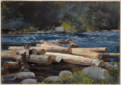 作： Winslow Homer