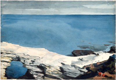  作： Winslow Homer