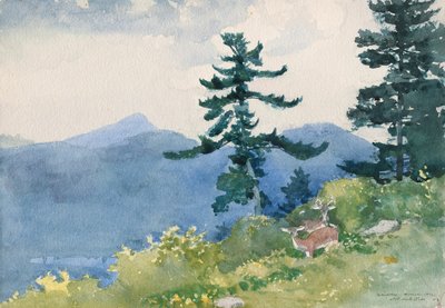ノース・ウッズ・クラブ、アディロンダック（中断されたテタテタ） 作： Winslow Homer