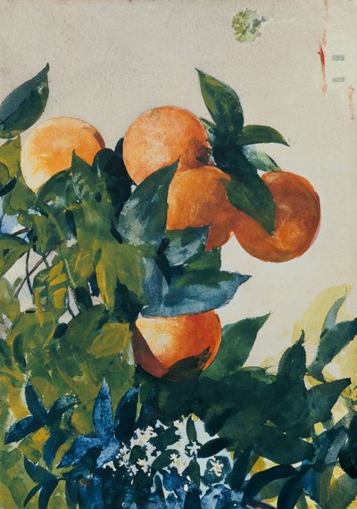ブランチ上のオレンジ、1885 作： Winslow Homer