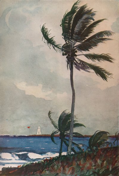 ヤシの木、ナッソー、1898年、1932年 作： Winslow Homer