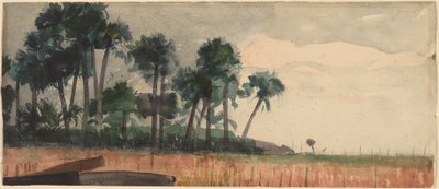 ヤシの木、赤 作： Winslow Homer