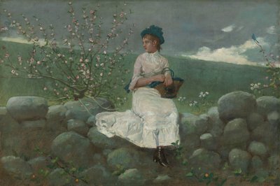 桃の花、1878年。 作： Winslow Homer