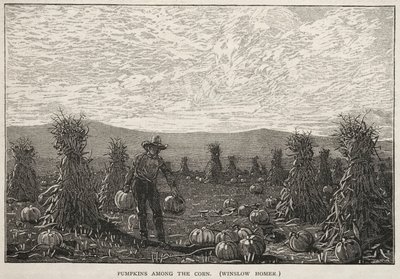トウモロコシの中のカボチャ 作： Winslow Homer
