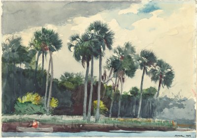 赤シャツ、フロリダ州ホモサッサ 作： Winslow Homer
