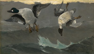 右左 作： Winslow Homer