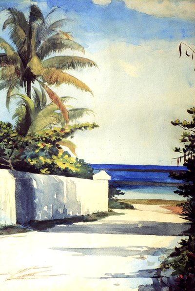 ナッソーの道路、1898〜99年 作： Winslow Homer