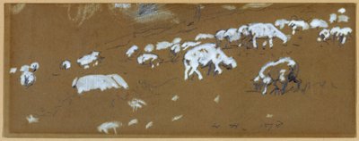羊 作： Winslow Homer
