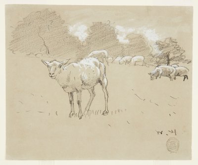 Sheep Grazing in a Field   1246522   ja       japanese Successfully Translated  Original: Hop o My Thumb, illustration from Blackies Childrens Annual Translat: Hop o