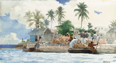 スポンジフィッシャーマン、バハマ 作： Winslow Homer