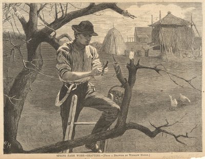 春の農作業 作： Winslow Homer