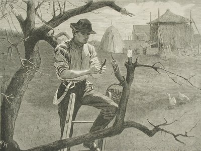  作： Winslow Homer