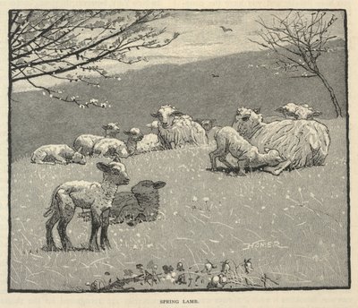 春の子羊（『月刊スクリブナー』1880年6月号より 作： Winslow Homer