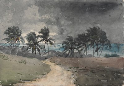 ストーム、バハマ 作： Winslow Homer