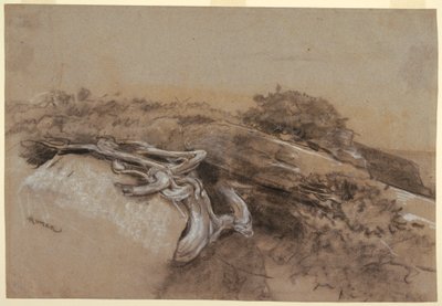メイン州プロウツネックの木の根の研究 作： Winslow Homer