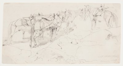 ワシントン山の頂上 作： Winslow Homer