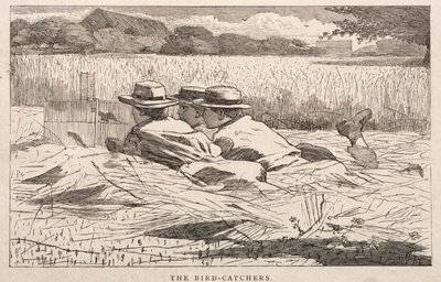 バード・キャッチャー 作： Winslow Homer