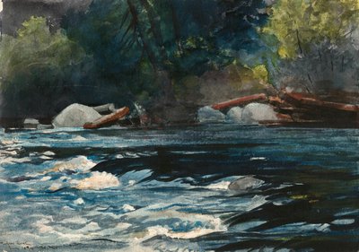 アディロンダック、ハドソン川、ザ・ラピッズ 作： Winslow Homer