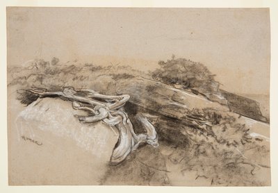 木の根、プラウトの首 作： Winslow Homer