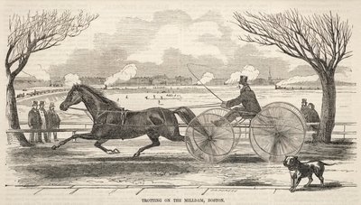 ミル・ダムでのトロット（ボストン 作： Winslow Homer