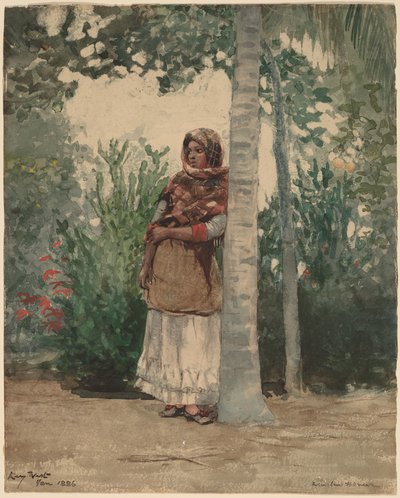 ヤシの木の下 作： Winslow Homer