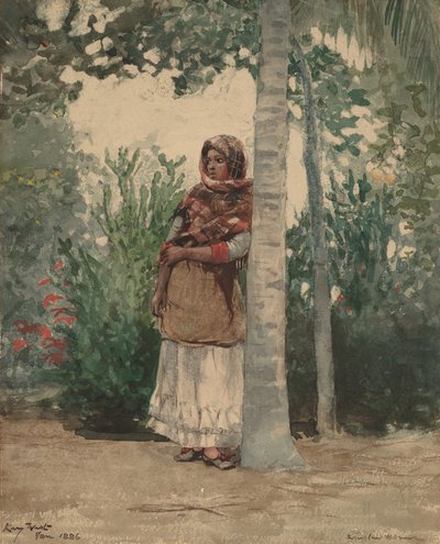 椰子の木の下で」1886年 作： Winslow Homer
