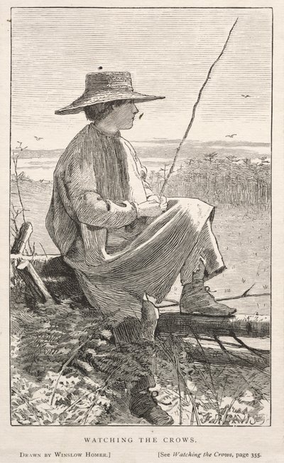 カラスを見て、1868。 作： Winslow Homer
