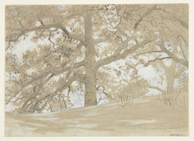 ウェイバリー オークス 作： Winslow Homer