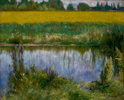 campo de tremoço 作： Wladyslaw Podkowinski